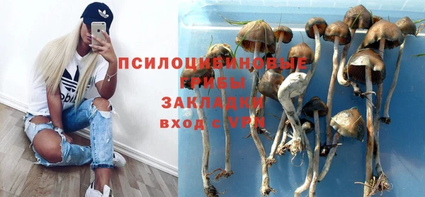 spice Балабаново