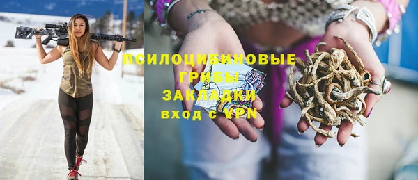 spice Балабаново