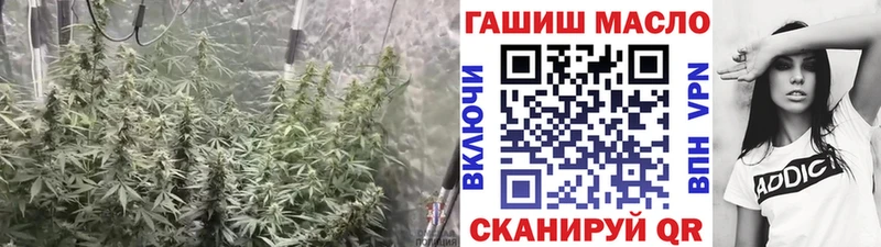 ТГК концентрат  где купить наркоту  Вятские Поляны 